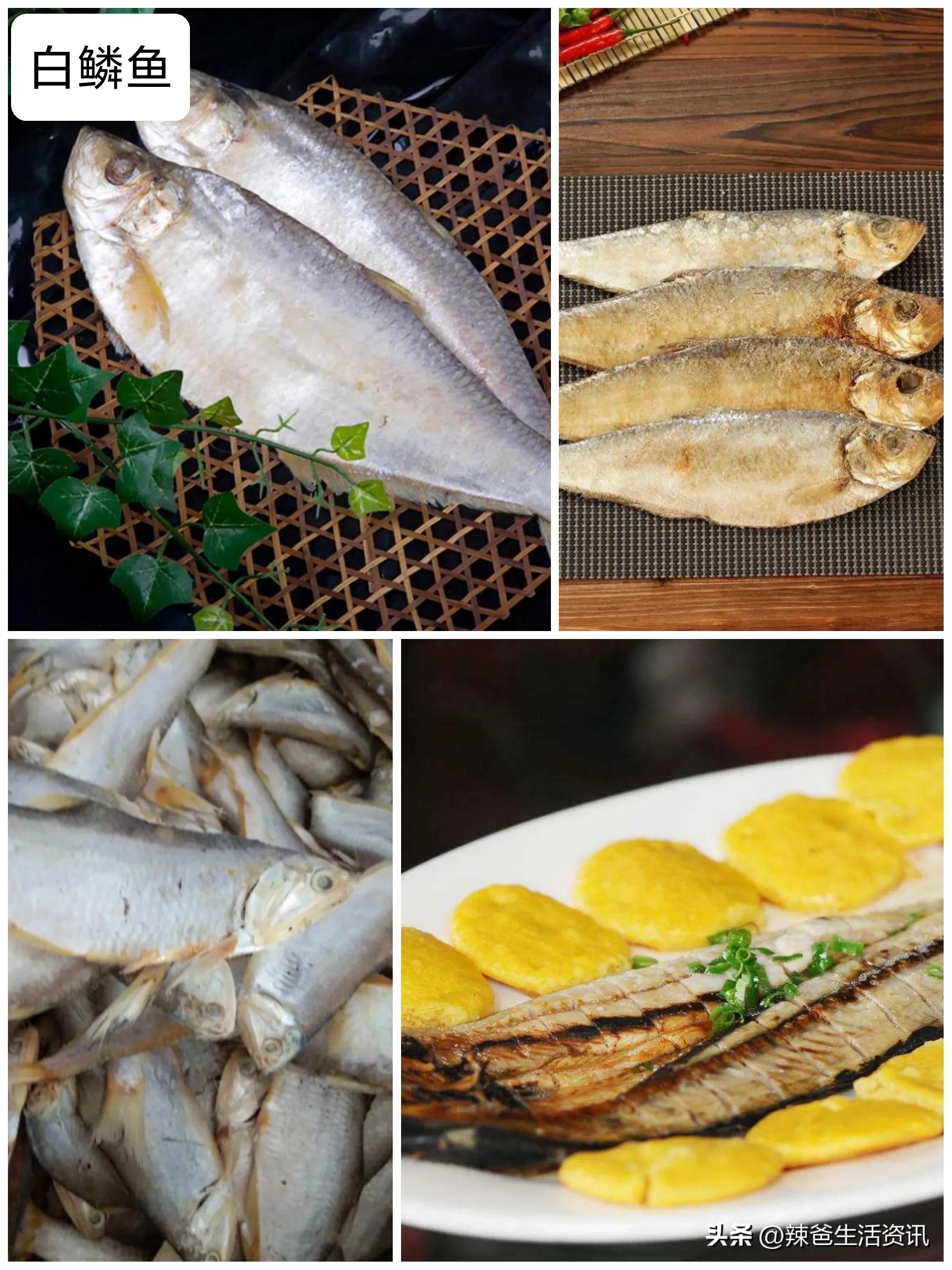 好吃不贵的野生海鱼,十种好吃不贵的正宗海鱼