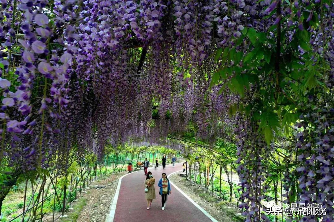 芳华微马公园好耍不,芳华微马公园有什么玩的