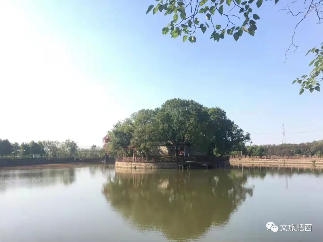 原来，在社交平台中，肥西的真实风景是这样的