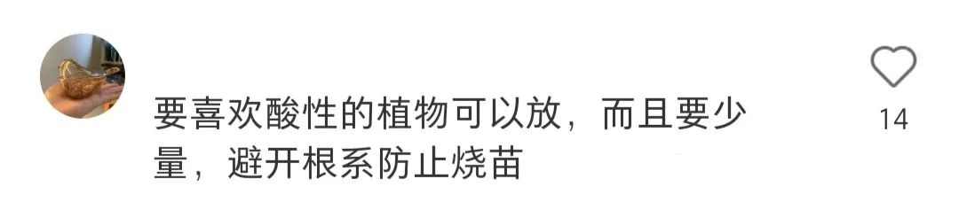 老撕的纸巾真的干净吗,用了30年纸巾原来用错了