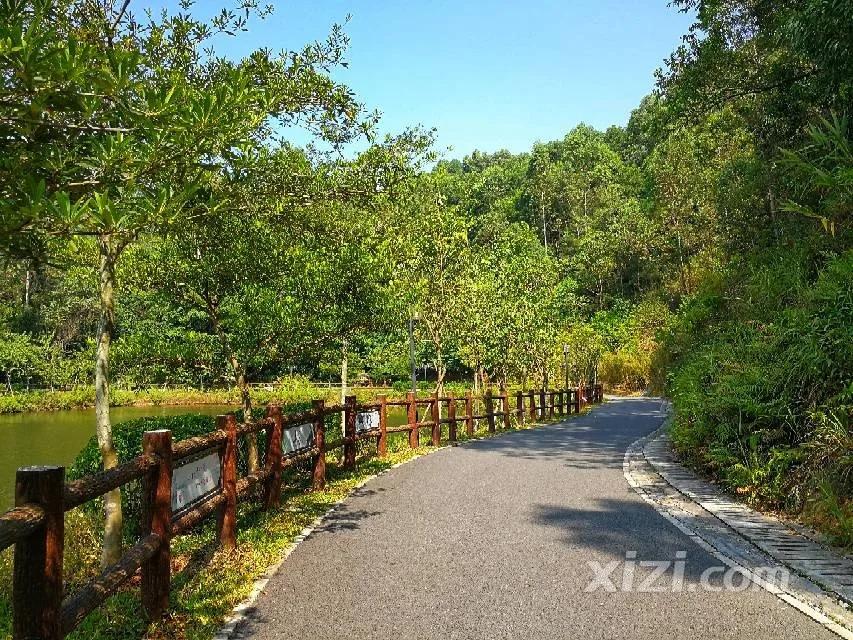 惠州周边踏青好去处推荐来啦,惠州18公里环湖绿道攻略