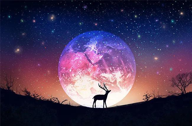 古老的恋歌（学生王紫轩习作）