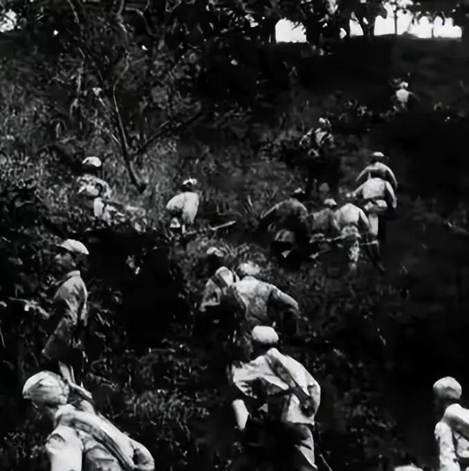 湘西剿匪记全纪实,真实湘西剿匪纪实