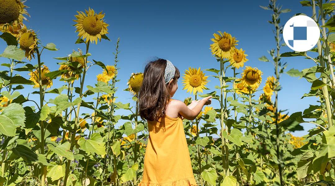 无条件接纳孩子感言,如何理解共情和接纳孩子