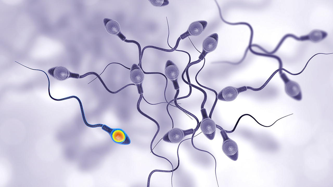 月经走后几天会不舒服,月经走后身体有啥变化