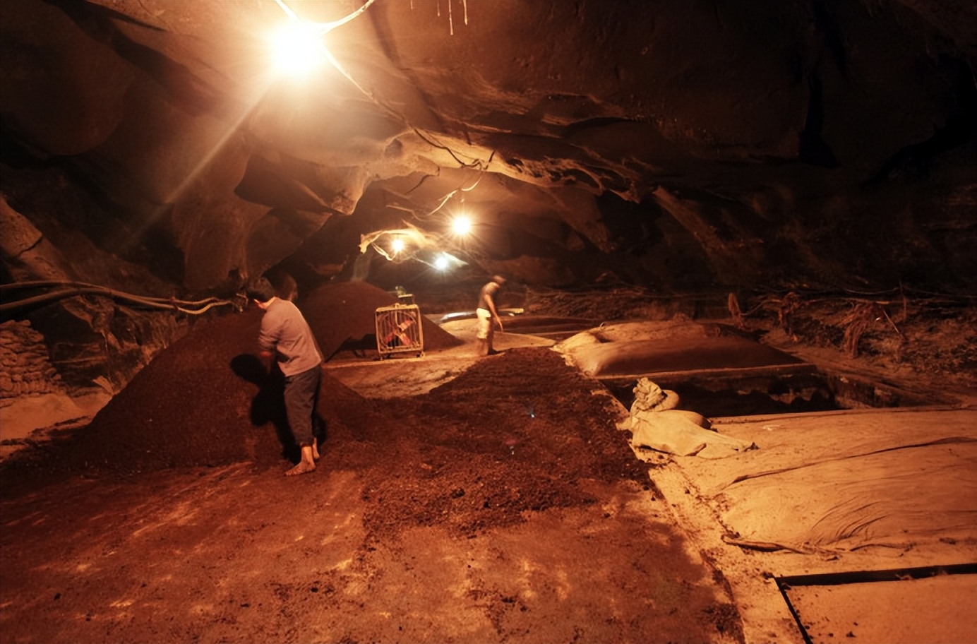 国帅龟仙洞酱酒,龟仙洞酒酱香型多少钱