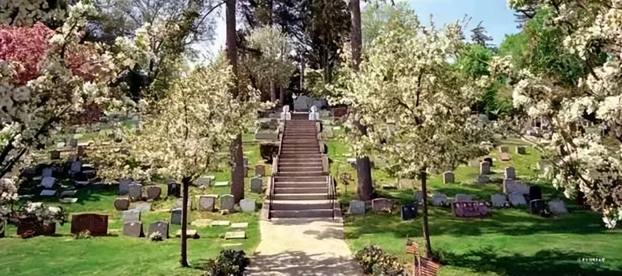 宠物殡葬都有什么服务,宠物殡葬都包括哪些服务