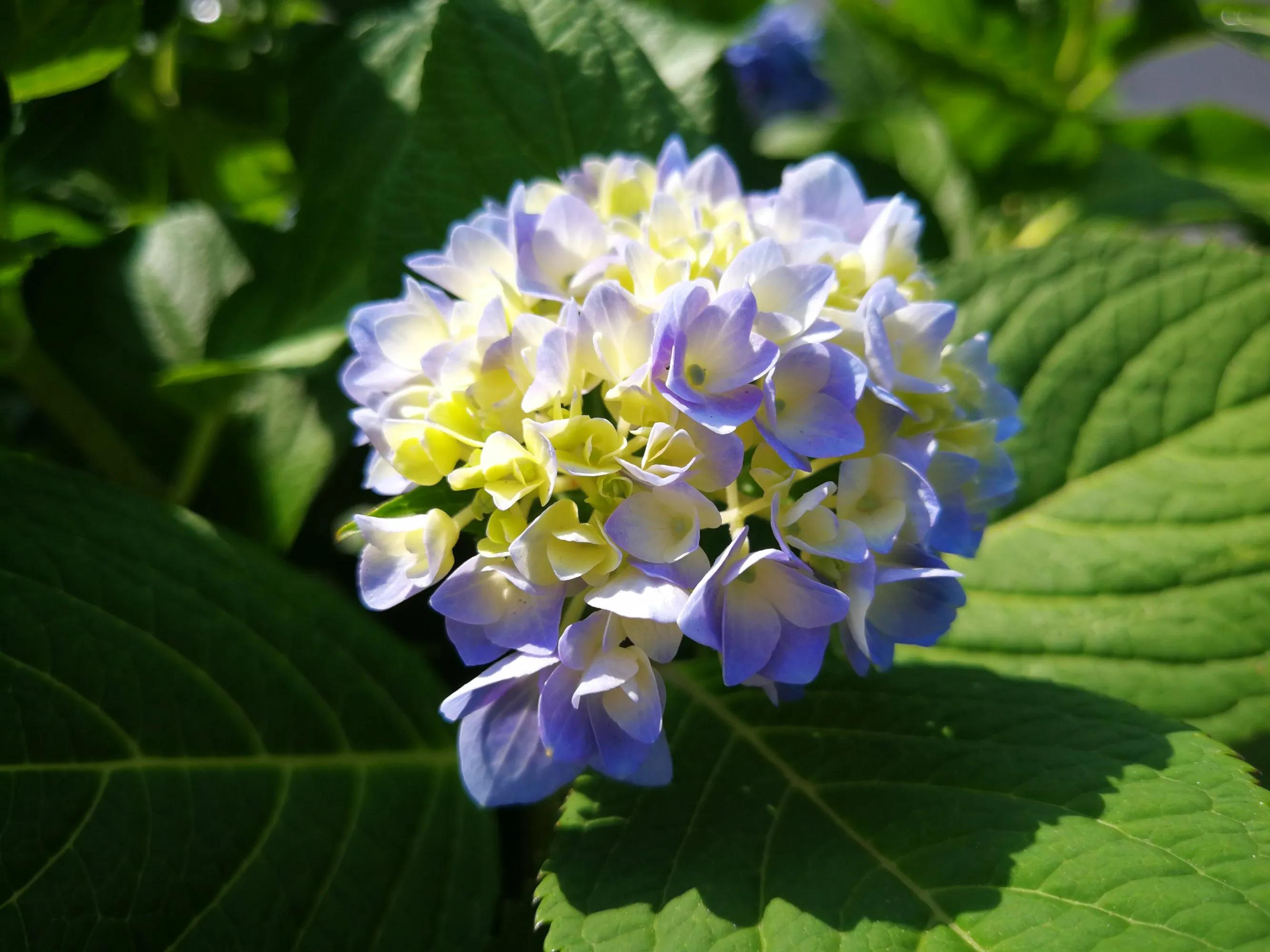 100种迷人的“数字花”,从零到一百万,真是太神奇了