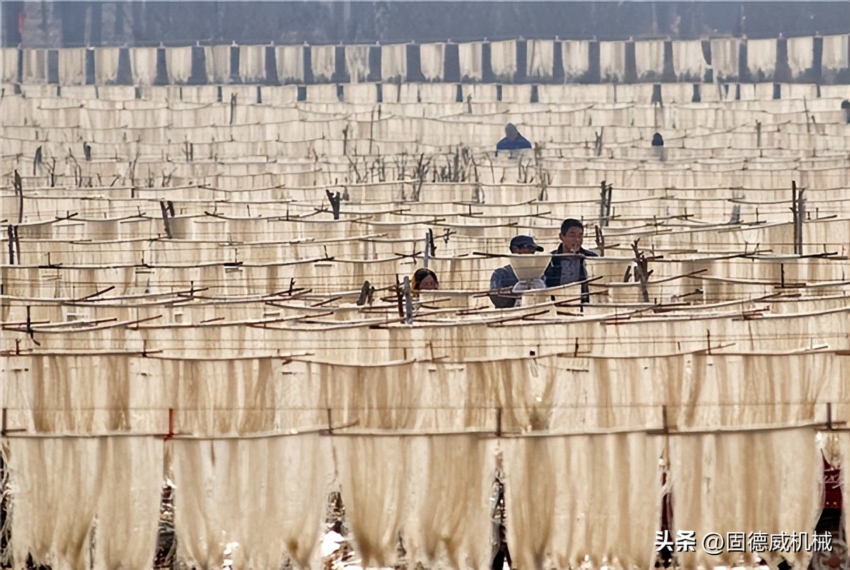 几十块粉条机,十万左右全自动红薯粉条机价格
