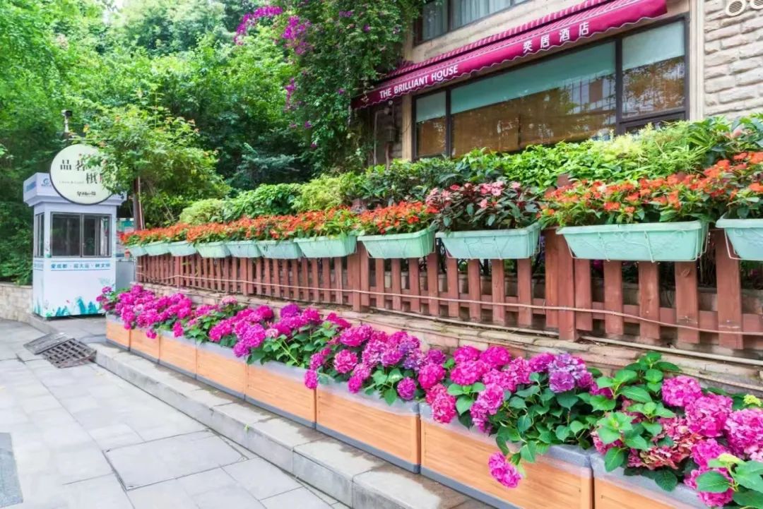 成都最好的全景阳台,四川成都最美阳台