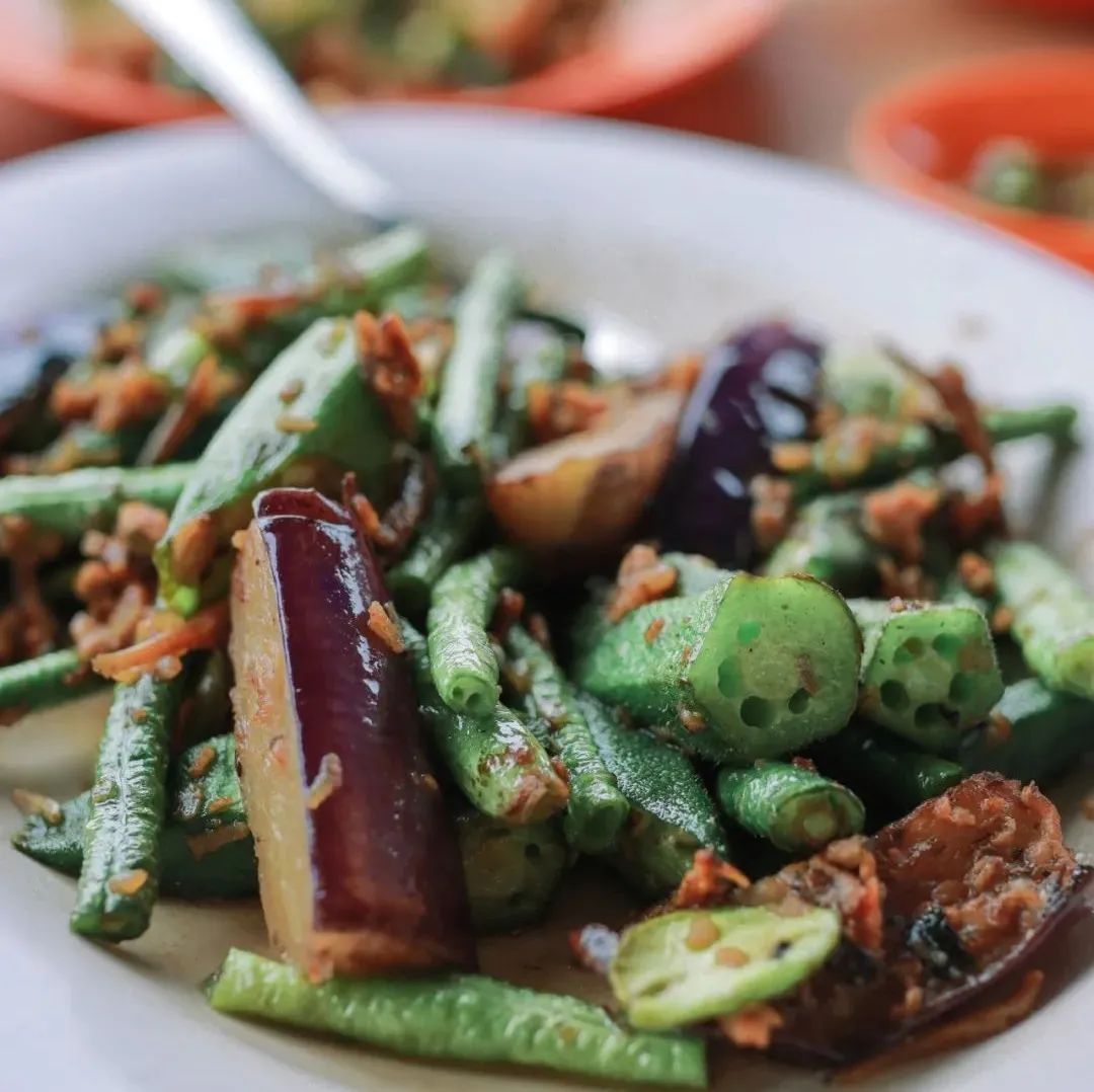 新加坡到马来西亚乐高大巴,从新加坡怎么去马来西亚乐高乐园