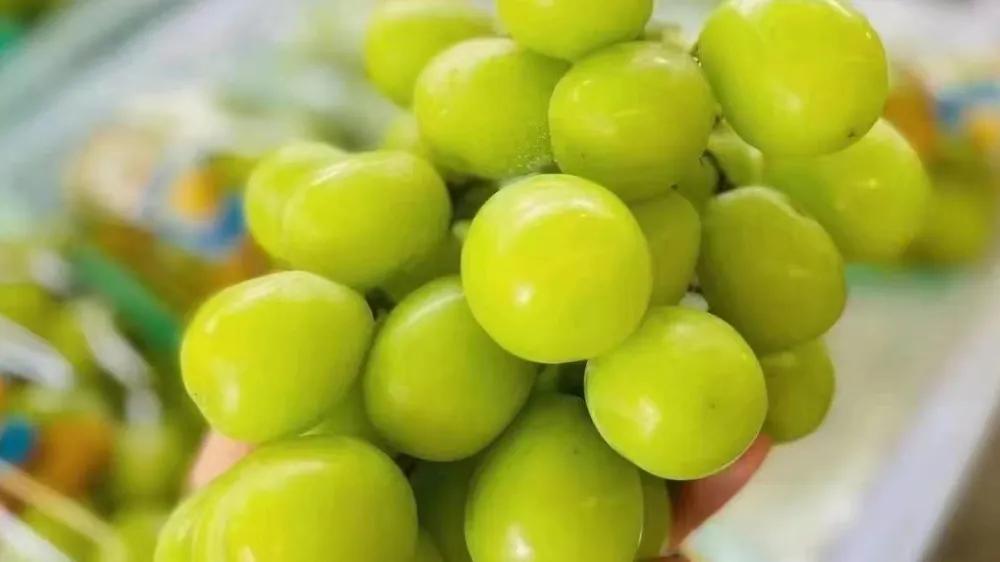 开水果店的进货渠道有哪些,想开个水果店到哪里进货渠道