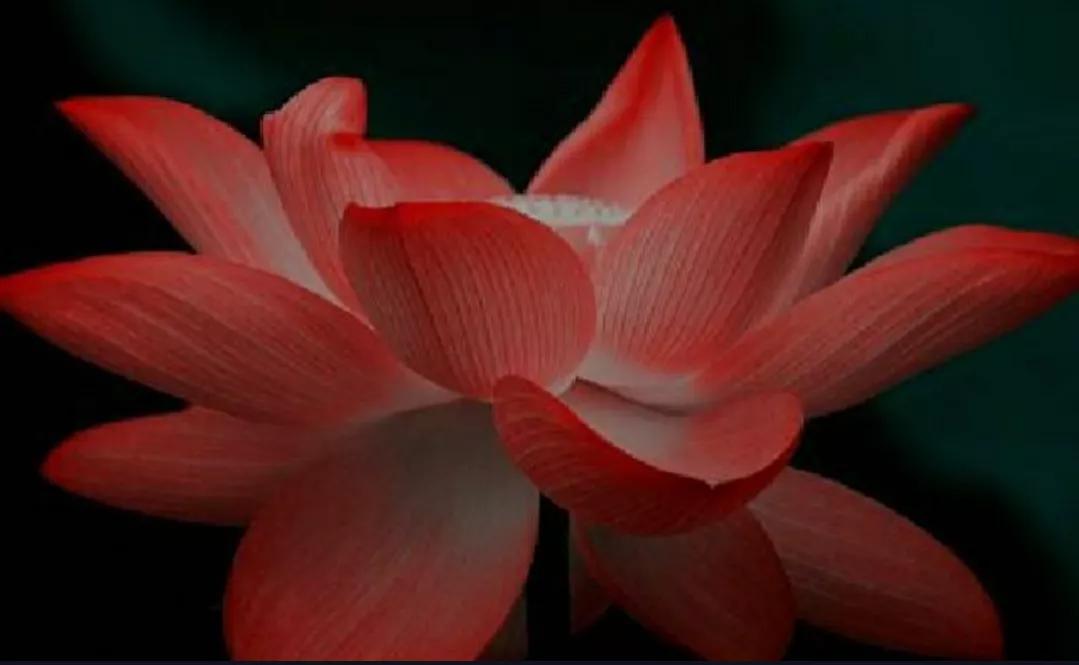 冥河创造阿修罗,冥河创造阿修罗引来惩罚