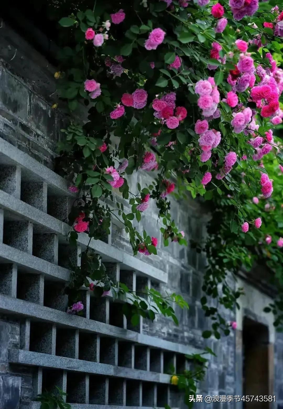 最美人间四月天散文,最美人间四月天的散文