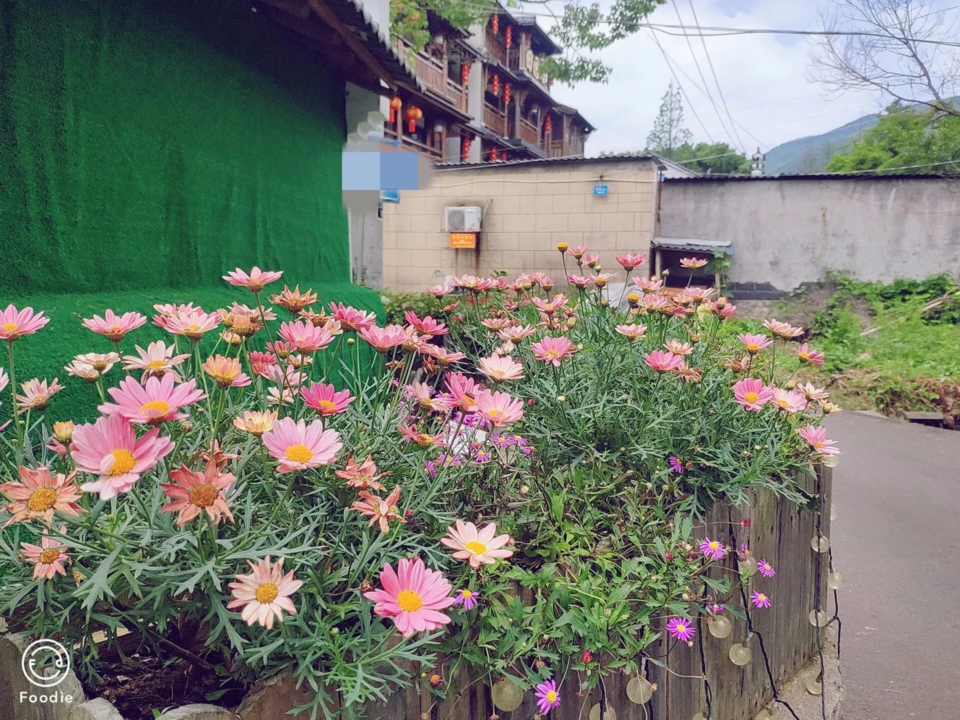 长兴水口外冈荣聚山庄农家乐,长兴水口顾渚村四季红农家乐