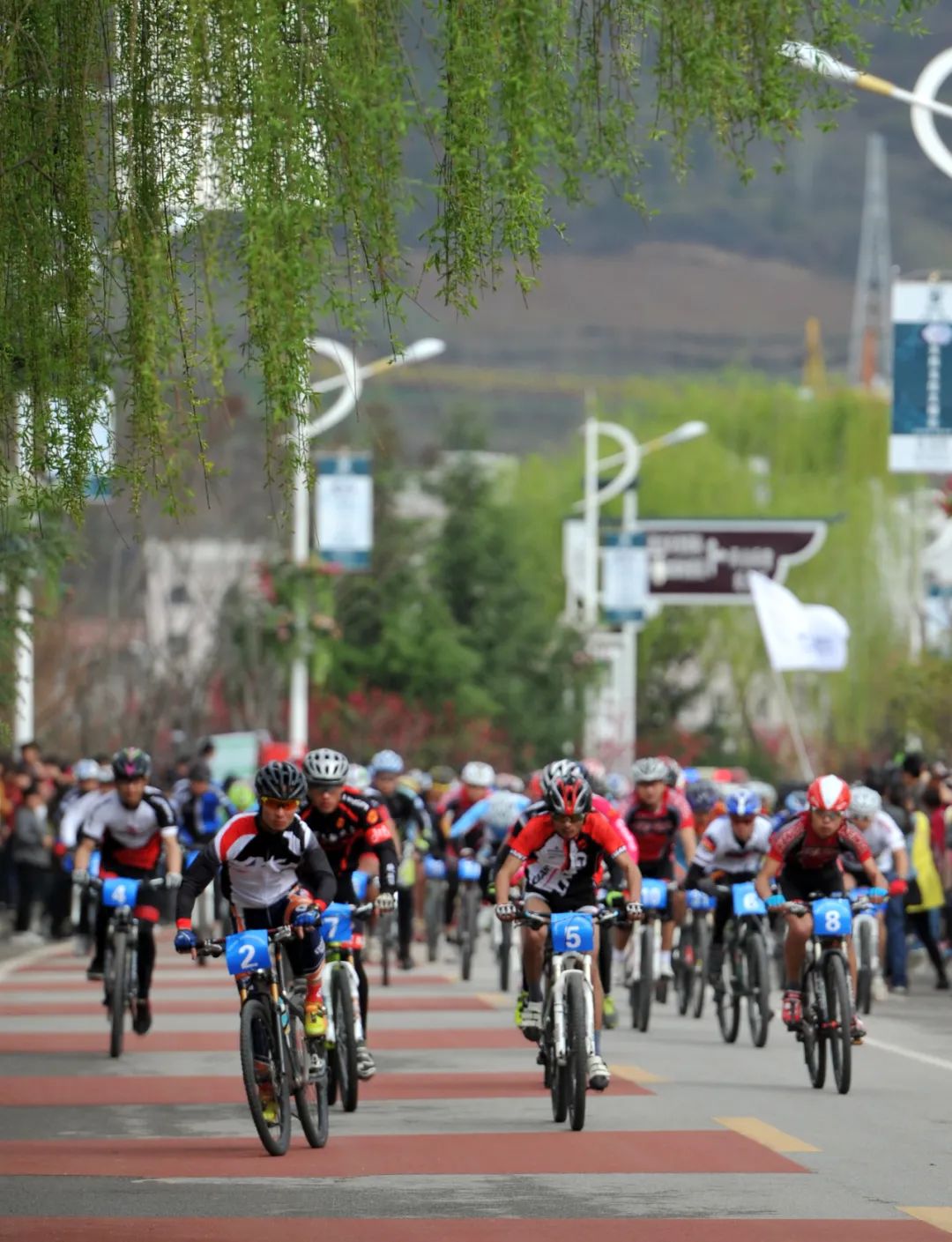 魅力陇南市区,魅力陇南陇上江南