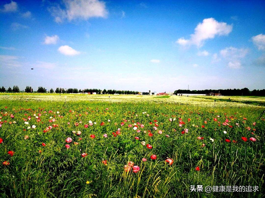 塞外水城旅游景点,河北沽源