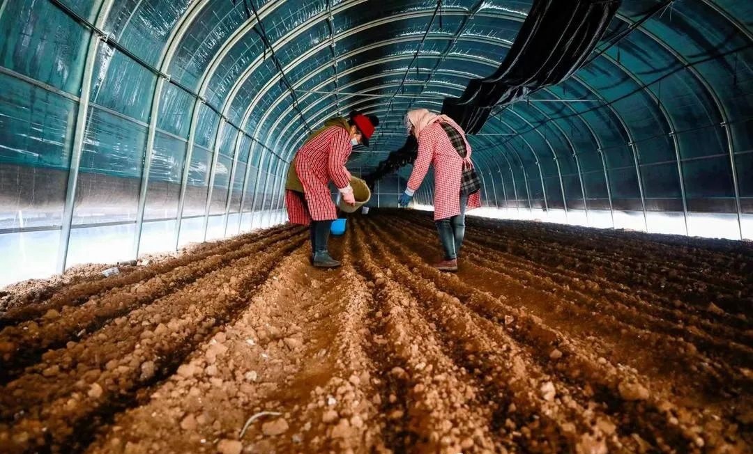 江苏盐城亭湖：山海携手铸新辉