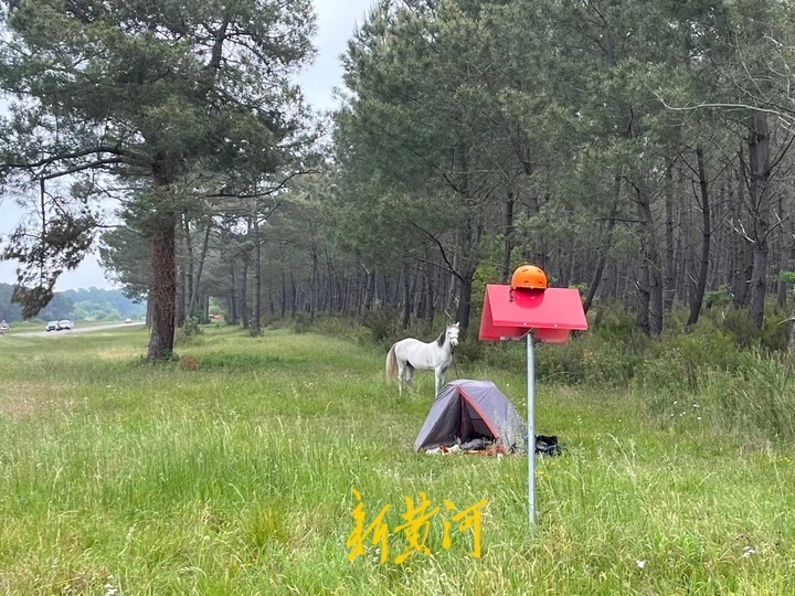 山东小伙骑白马从欧洲走回国,山东小伙骑白马从欧洲回国