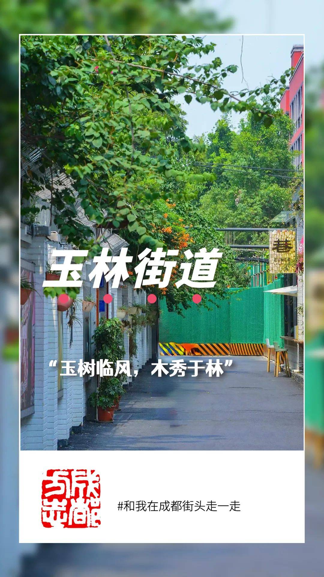 四川成都街头,美丽四川遇见天府