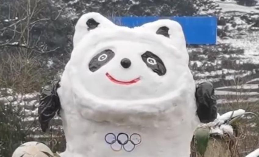 日本记者被冰墩墩圈粉什么节目,冰墩墩日本记者国际走红