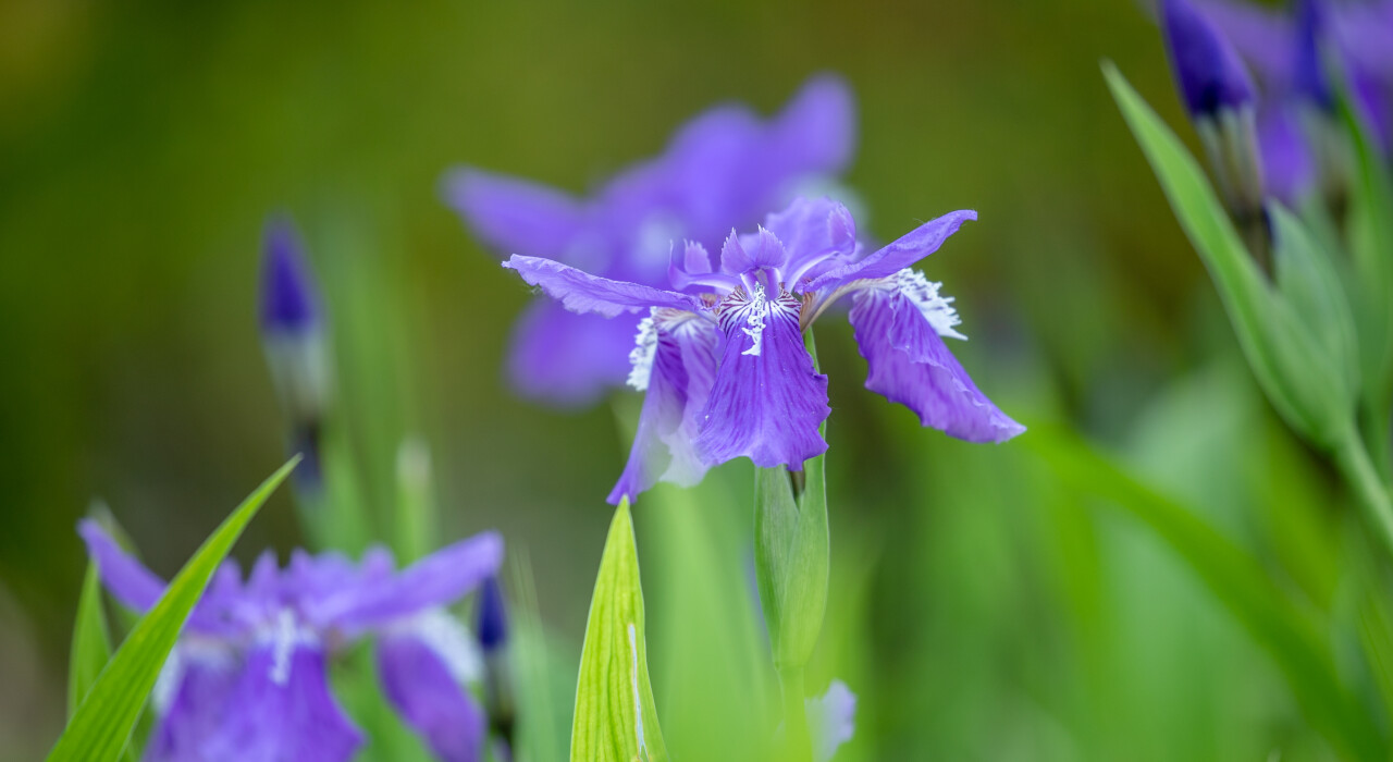 济南有隐秘的角落公园,推荐济南6处鲜为人知的小众之地