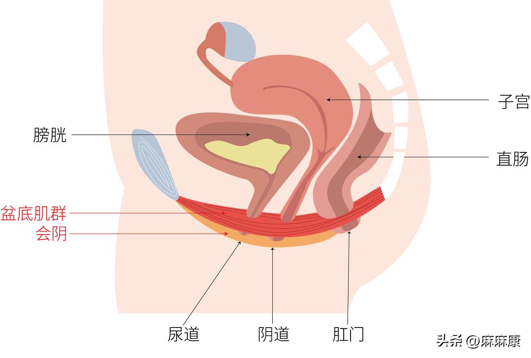 产后腰痛怎么缓解最简单的方法,产后腰痛难忍学会这几招腰痛立消