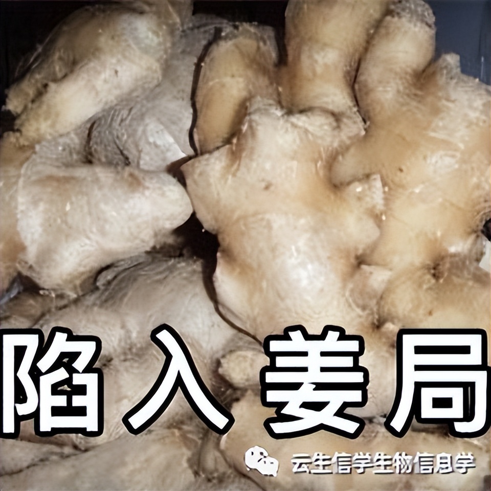 R包安装常见报错，快来看看怎么解决