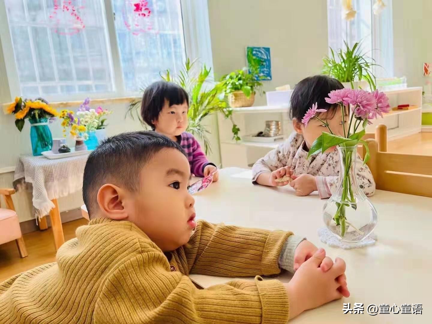 蒙台梭利0-4岁语言教学视频,童心童语视频大全