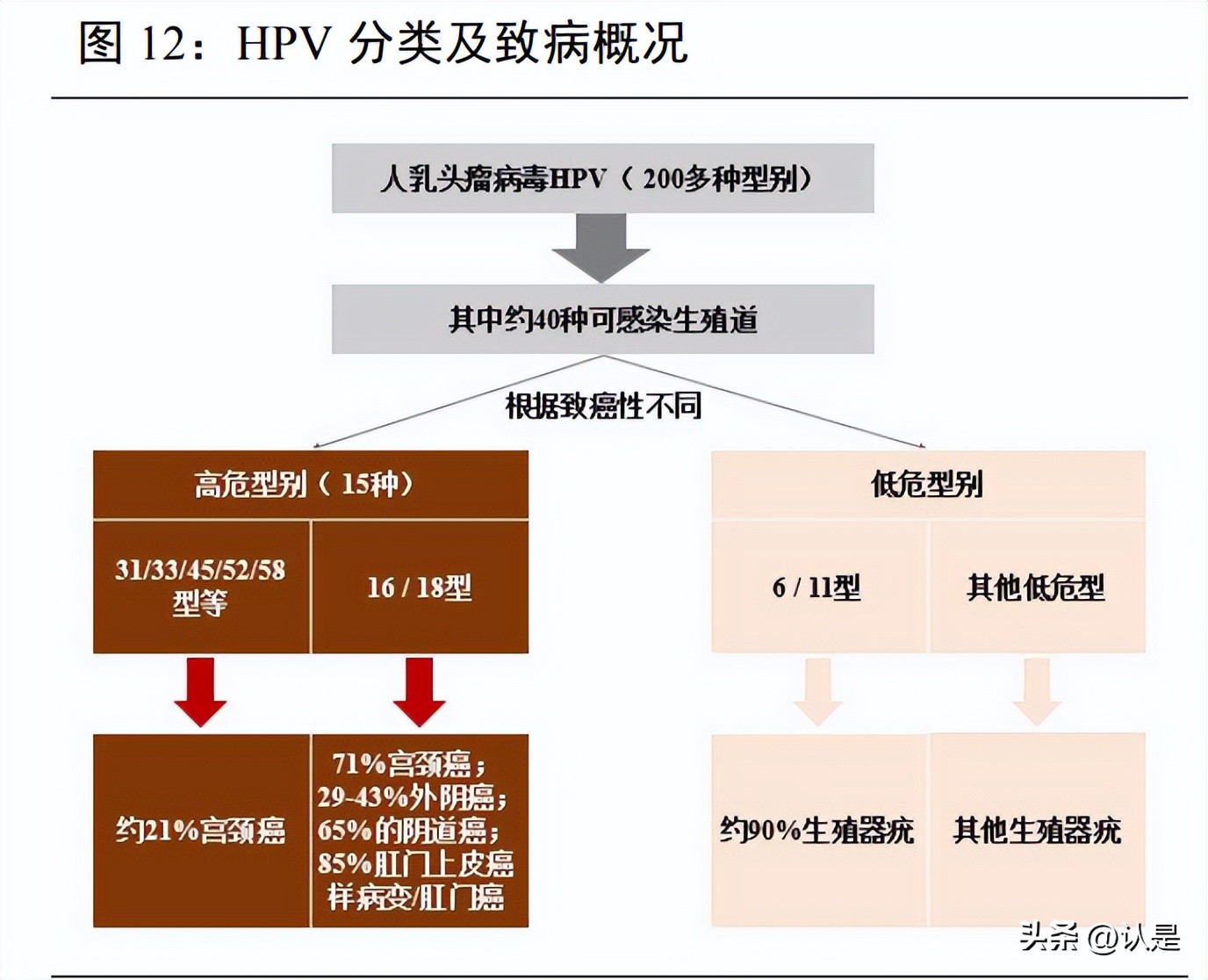 锦波生物胶原蛋白深度分析,锦波生物胶原蛋白修复皮肤