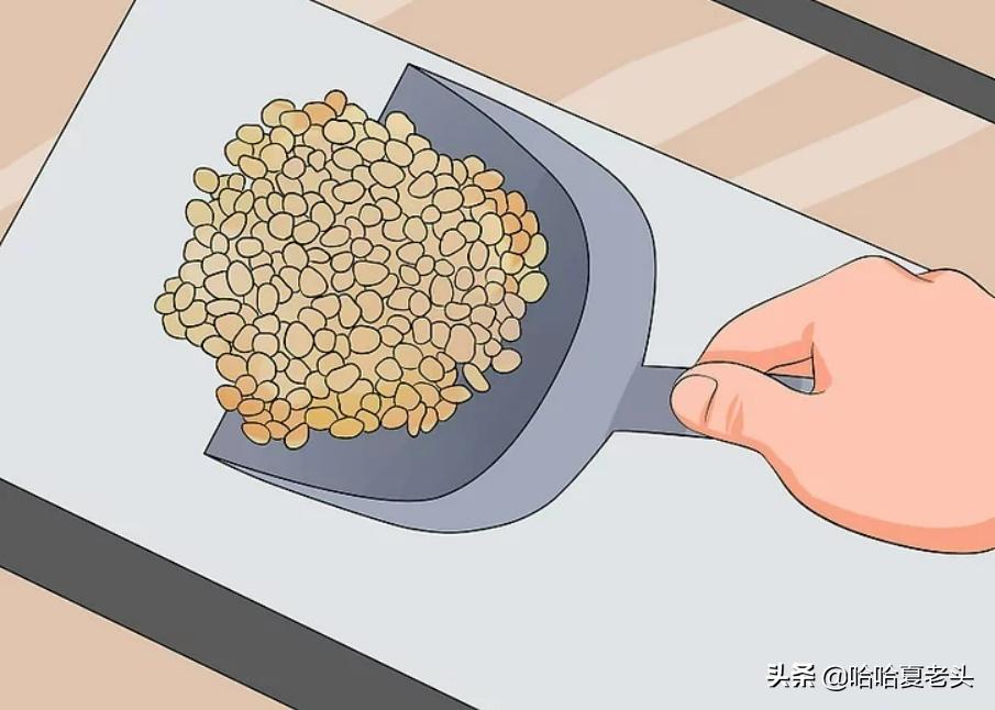 怎样拯救要死的斗鱼,怎么抢救奄奄一息的斗鱼