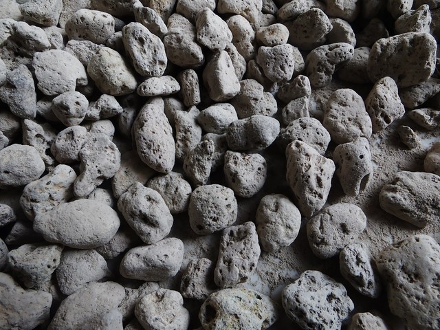 化痰止咳平喘药中药,平喘止咳化痰的药有哪些中药