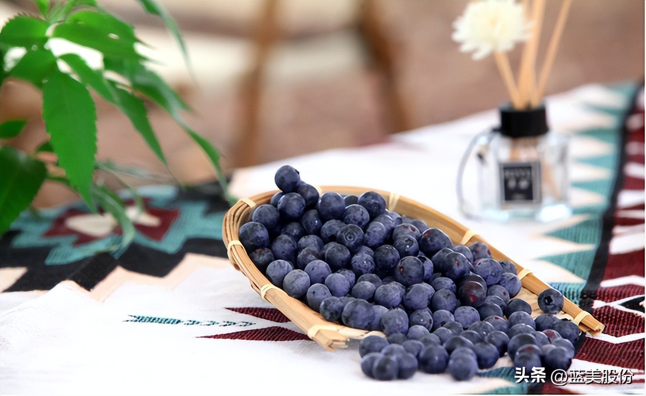 水果蓝莓的营养成分有哪些,蓝莓的作用与功效血糖高吃蓝莓