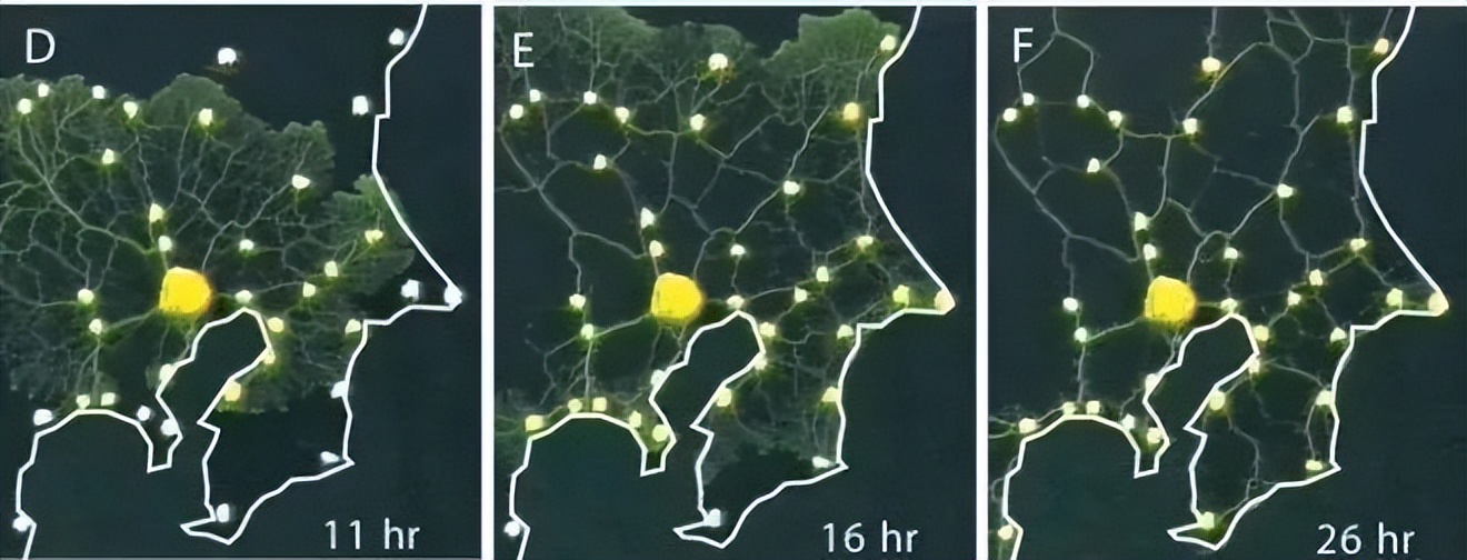 不用花钱就能买到小型电脑,如何买到适合自己的电脑