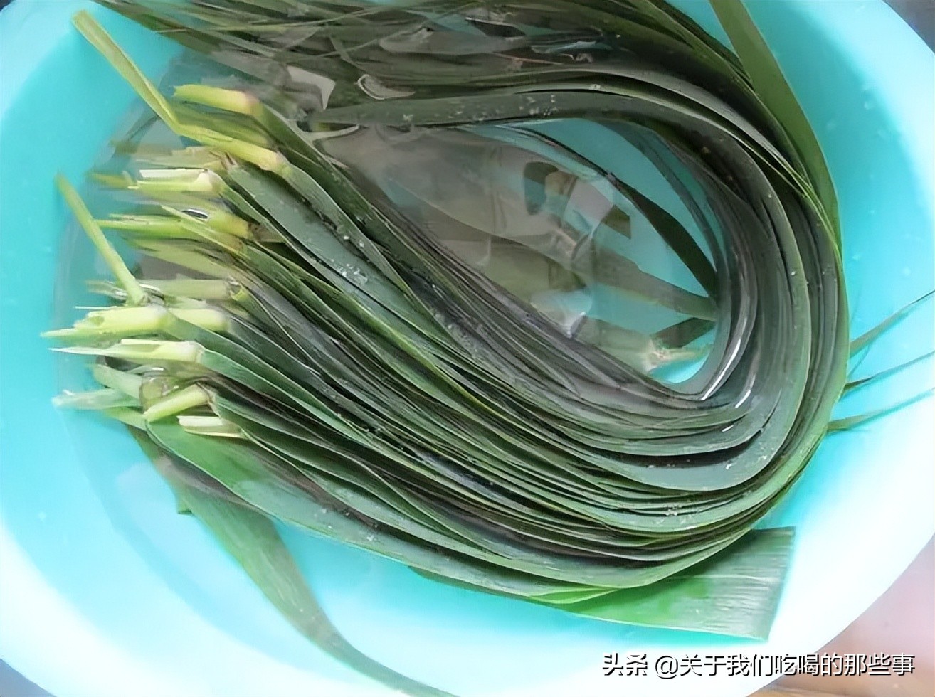 干粽叶需要煮多久才可以包,粽叶怎么处理不会卷曲