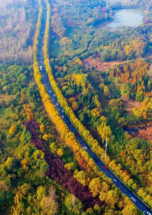 合肥市新桥机场旁边有旅游景点,合肥市好玩的旅游景点