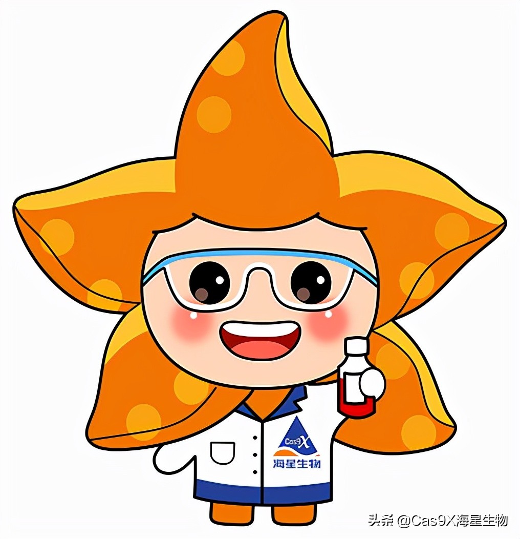 实时荧光定量pcr检测乙肝参考值,实时荧光定量pcr试剂盒