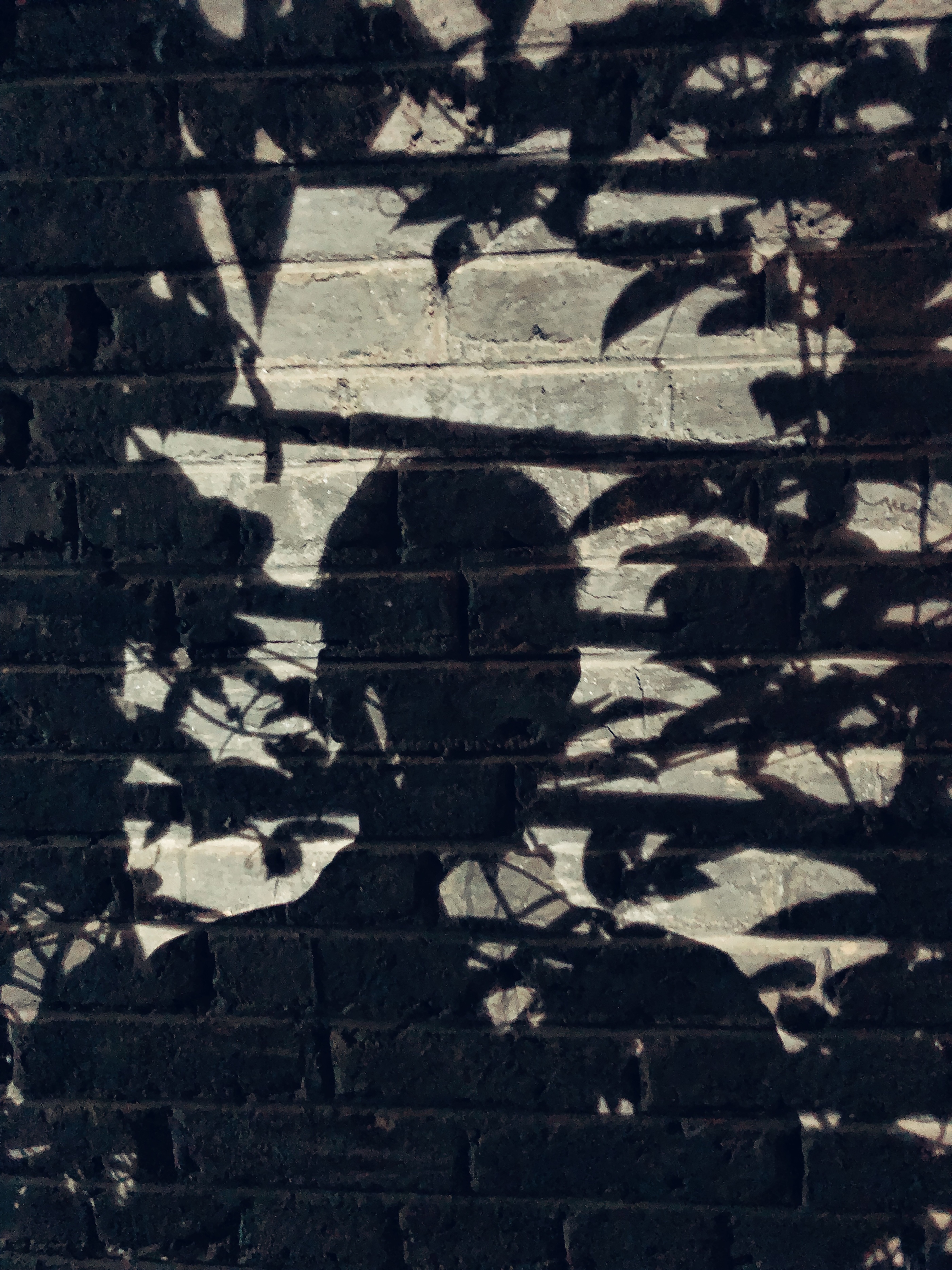 2019集美阿尔勒摄影展是什么,第28届厦门国际展览