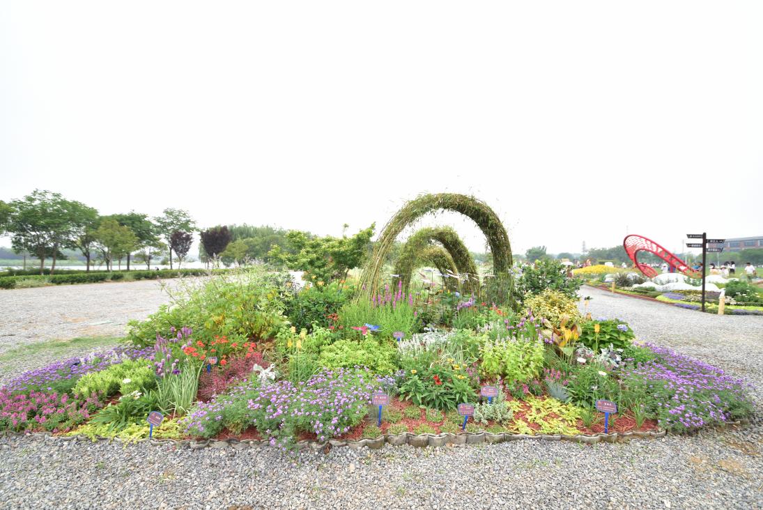 荣获奖项的喜报,棕榈奖名单曝光