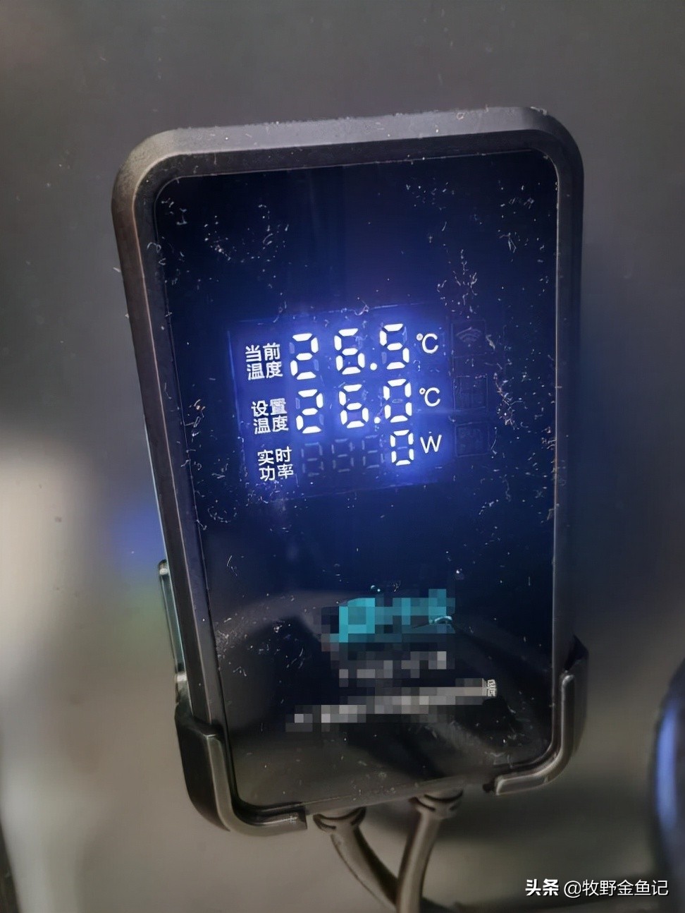 养金鱼冬天需要加热棒吗,家养金鱼冬天需要加热棒吗