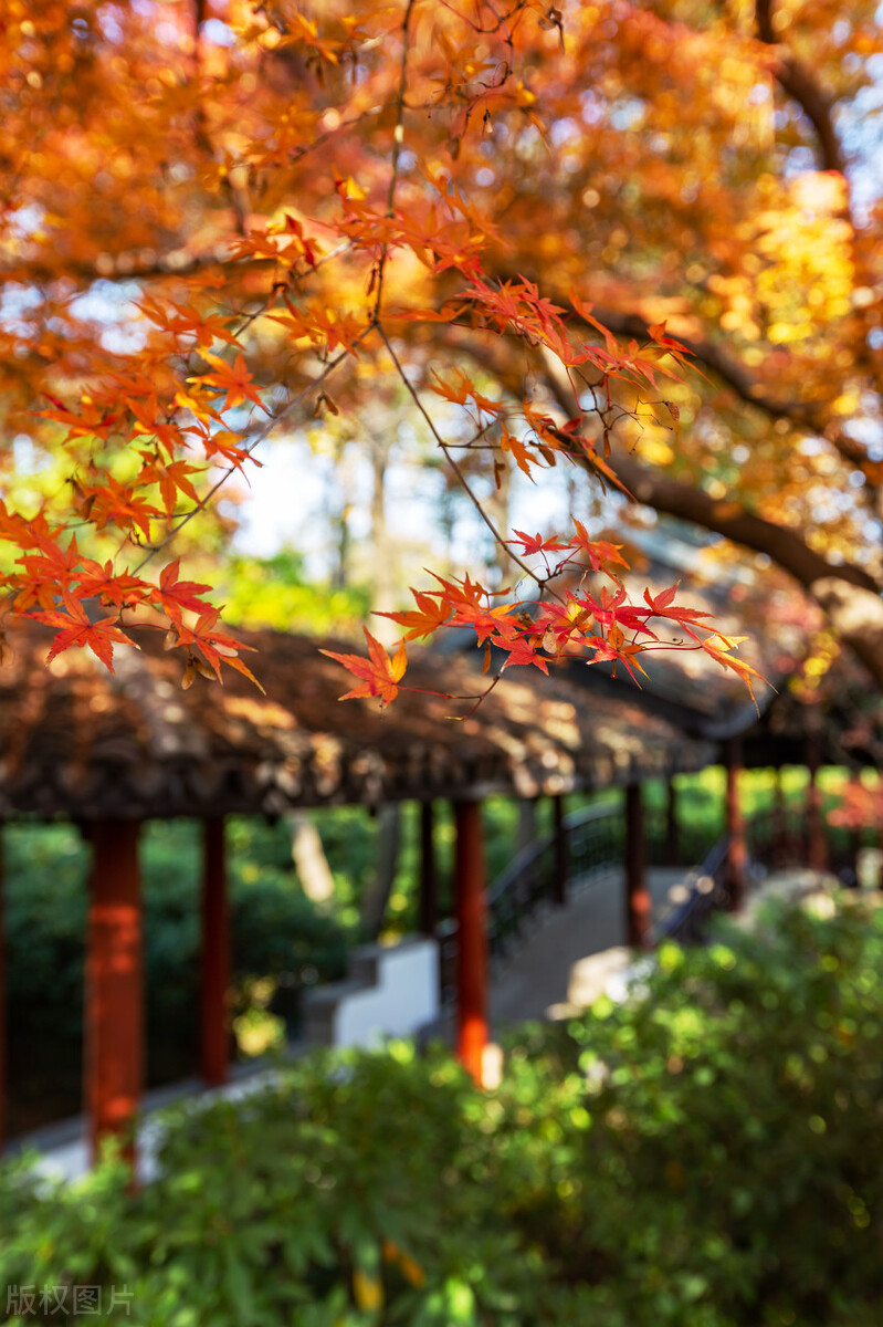 部编版九上语文目录,送东阳马生序原文