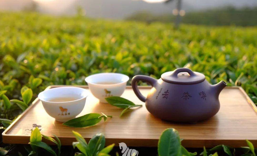 经常喝茶和咖啡对身体有什么影响,喝茶加咖啡对身体有什么危害