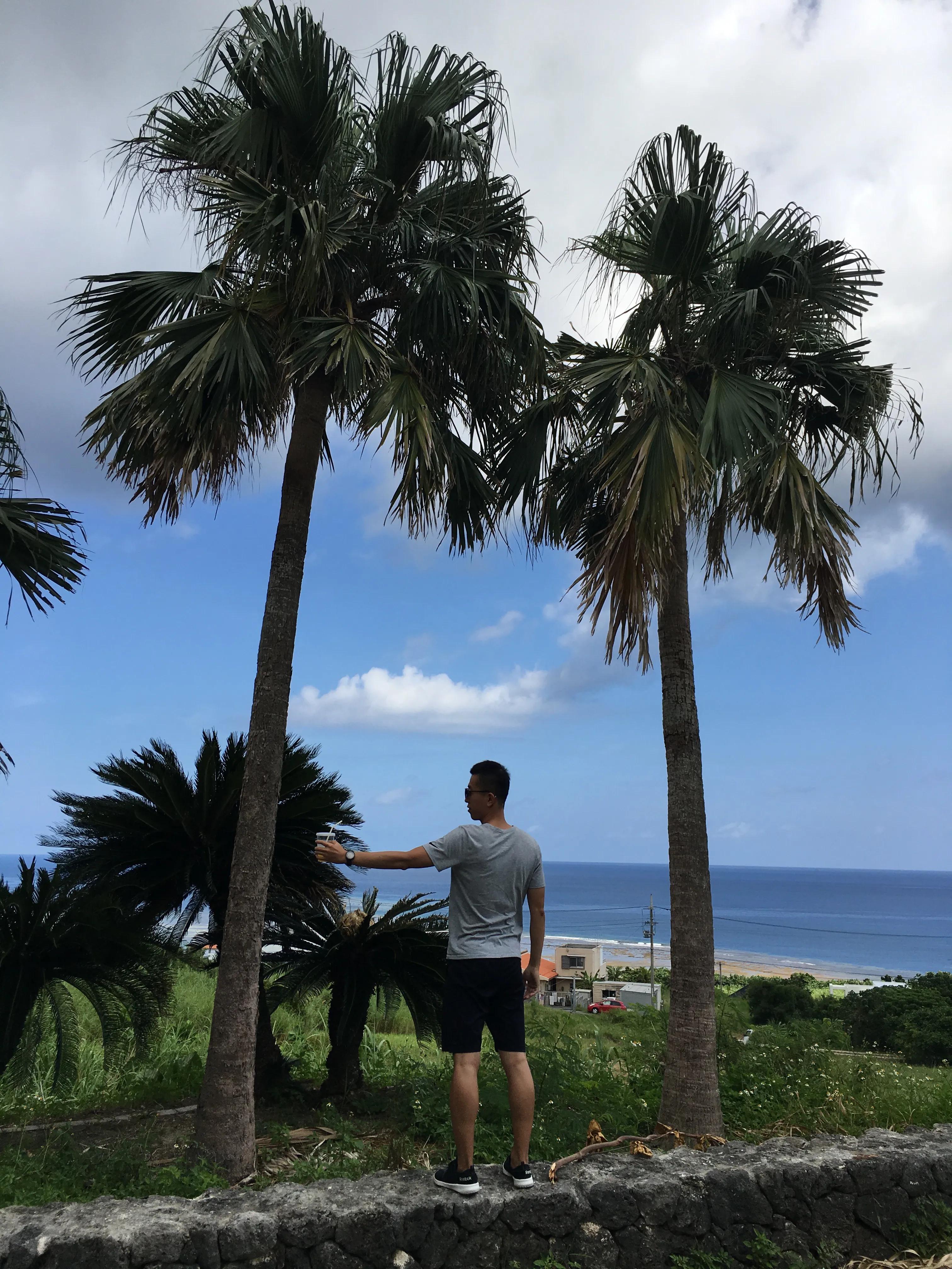 日本冲绳旅游攻略自由行最新,日本冲绳旅游攻略大全