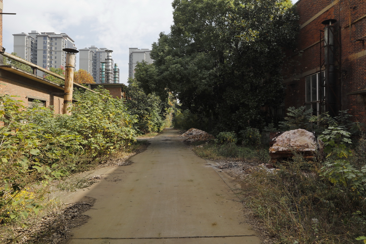 襄阳三线厂名单,襄阳汽车轴承股份有限公司网站