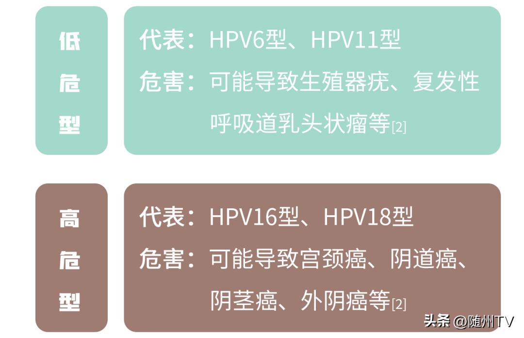 35—64岁妇女领福利啦！16万人可享受