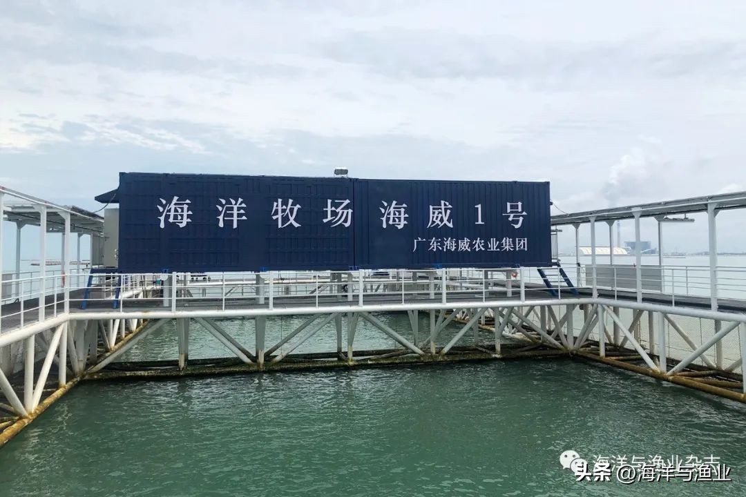 我国深远海养殖发展现状与展望,深远海渔业养殖规划