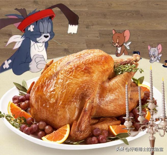 《猫和老鼠》其实不是儿童动画片而是成人片