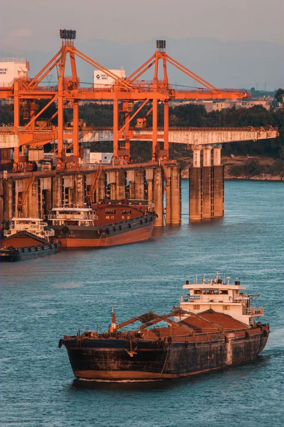 回到早睡早起的日子,回老家朝九晚五