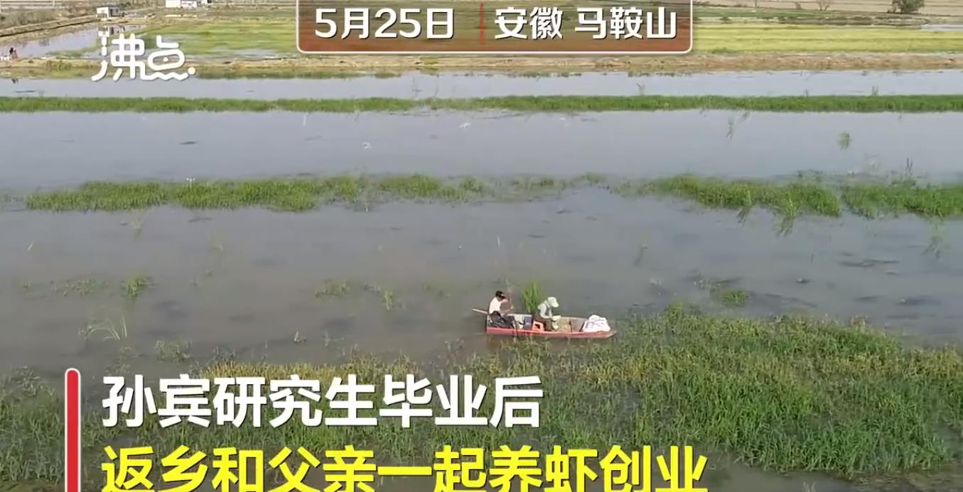 大学生回乡创业养殖小龙虾,大学生养草鱼致富一年卖100多万